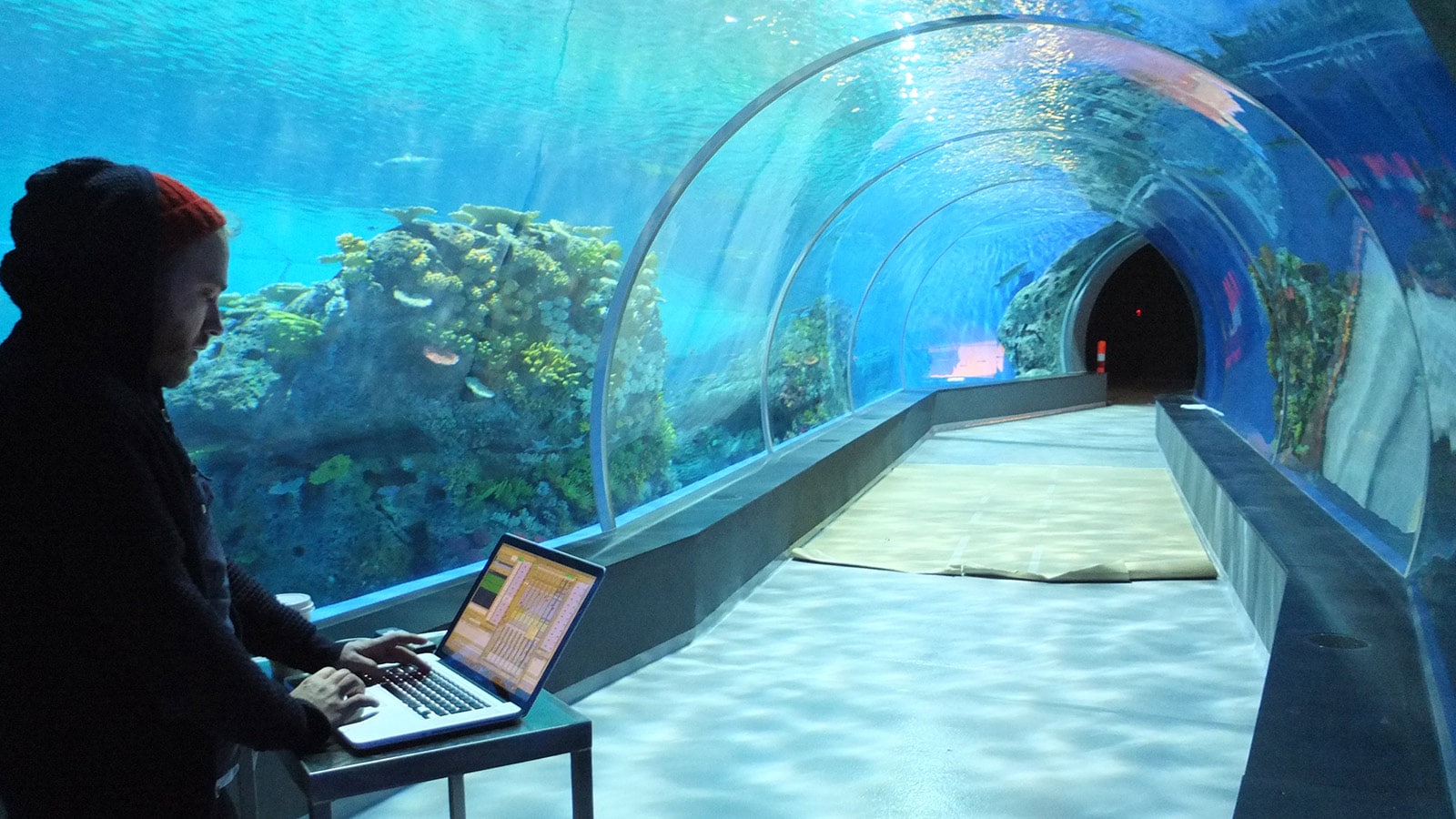 Meyer Sound D-Mitri Orchestrates Immersive Sonic Experience at The Blue Planet, National Aquarium Denmark