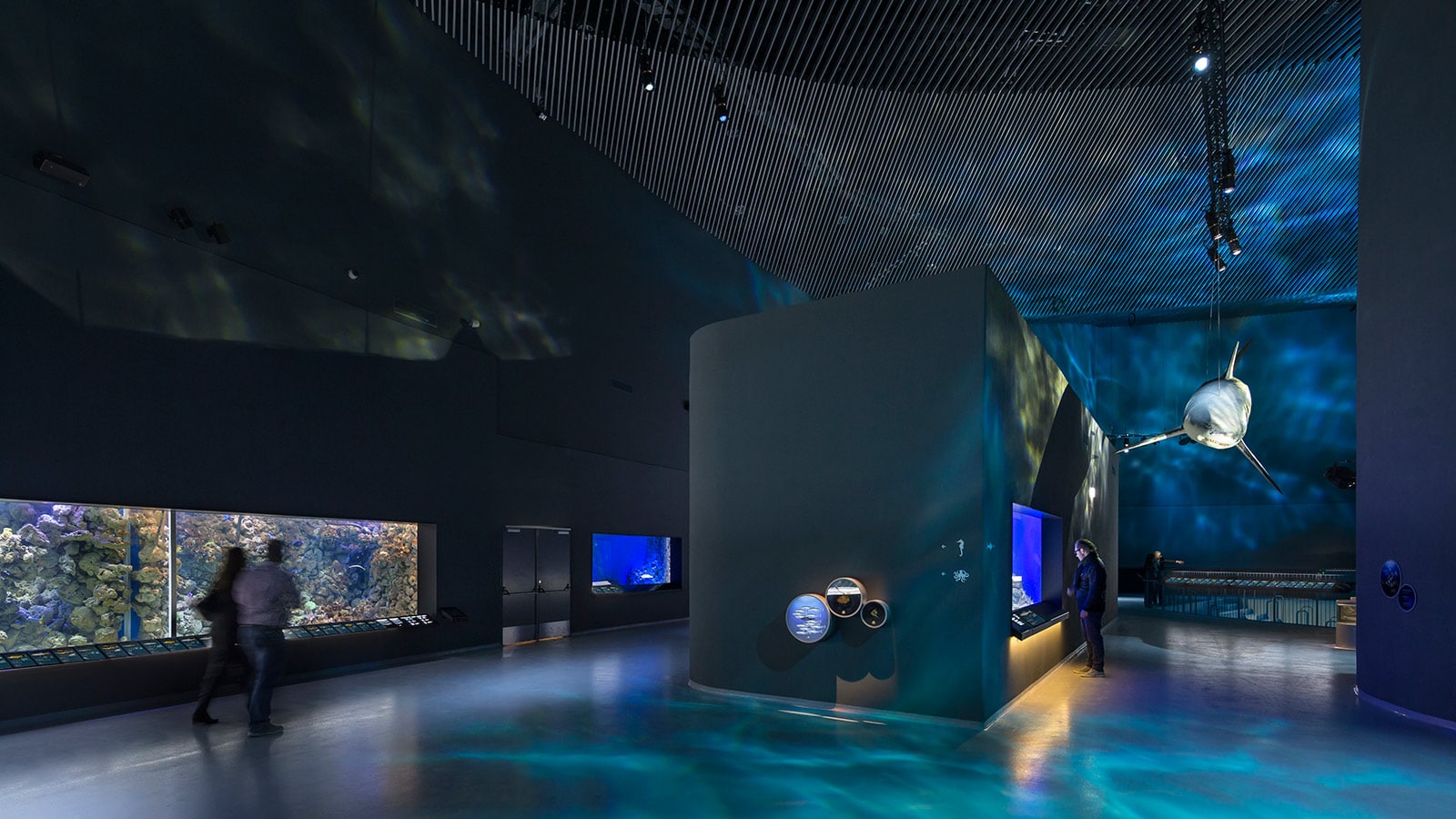 Meyer Sound D-Mitri Orchestrates Immersive Sonic Experience at The Blue Planet, National Aquarium Denmark